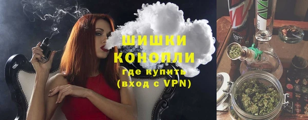 дживик Бронницы