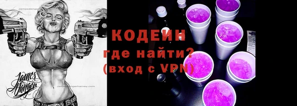 дживик Бронницы