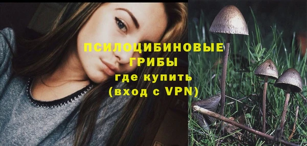 дживик Бронницы