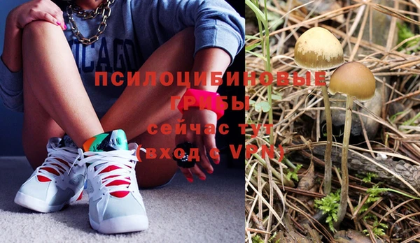 альфа пвп Бугульма