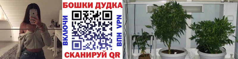 Марихуана THC 21%  Купить закладки  Казань 